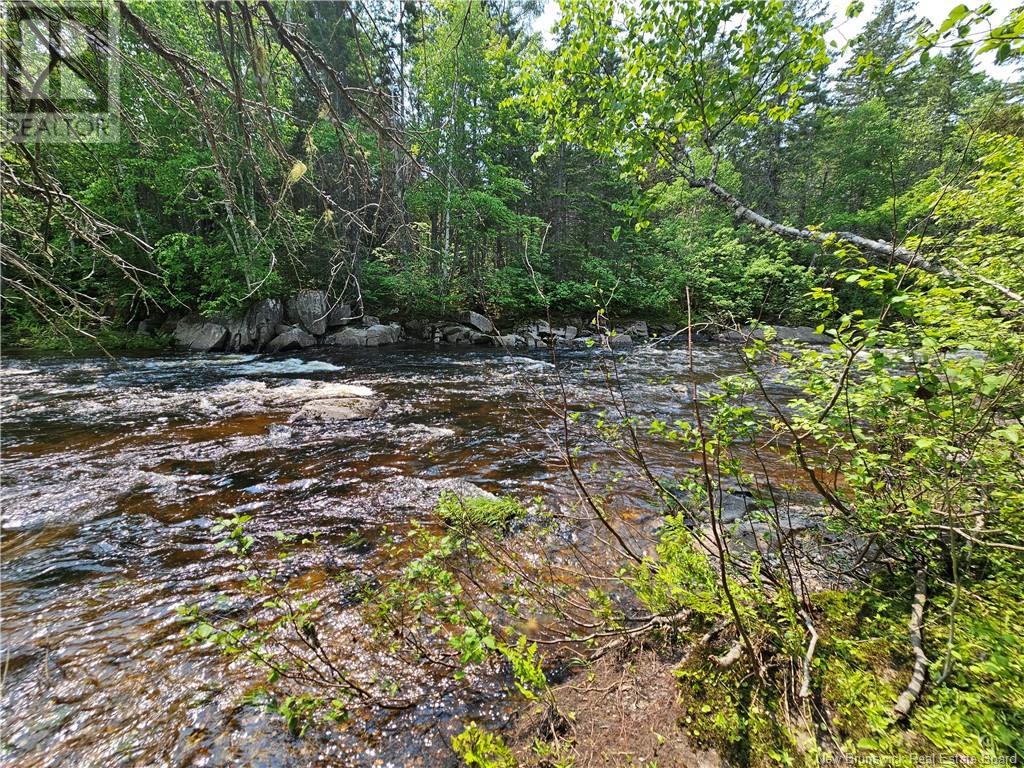 9.41 Acres West Street, Bathurst, New Brunswick  E2A 6L7 - Photo 2 - NB108282