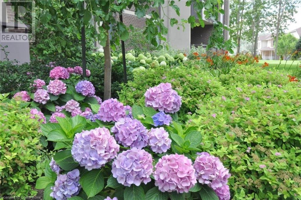 301 Frances Avenue Unit# 1709, Stoney Creek, Ontario  L8E 3W6 - Photo 32 - 40667277