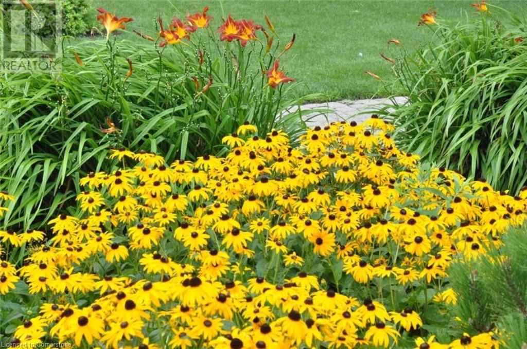 301 Frances Avenue Unit# 1709, Stoney Creek, Ontario  L8E 3W6 - Photo 33 - 40667277