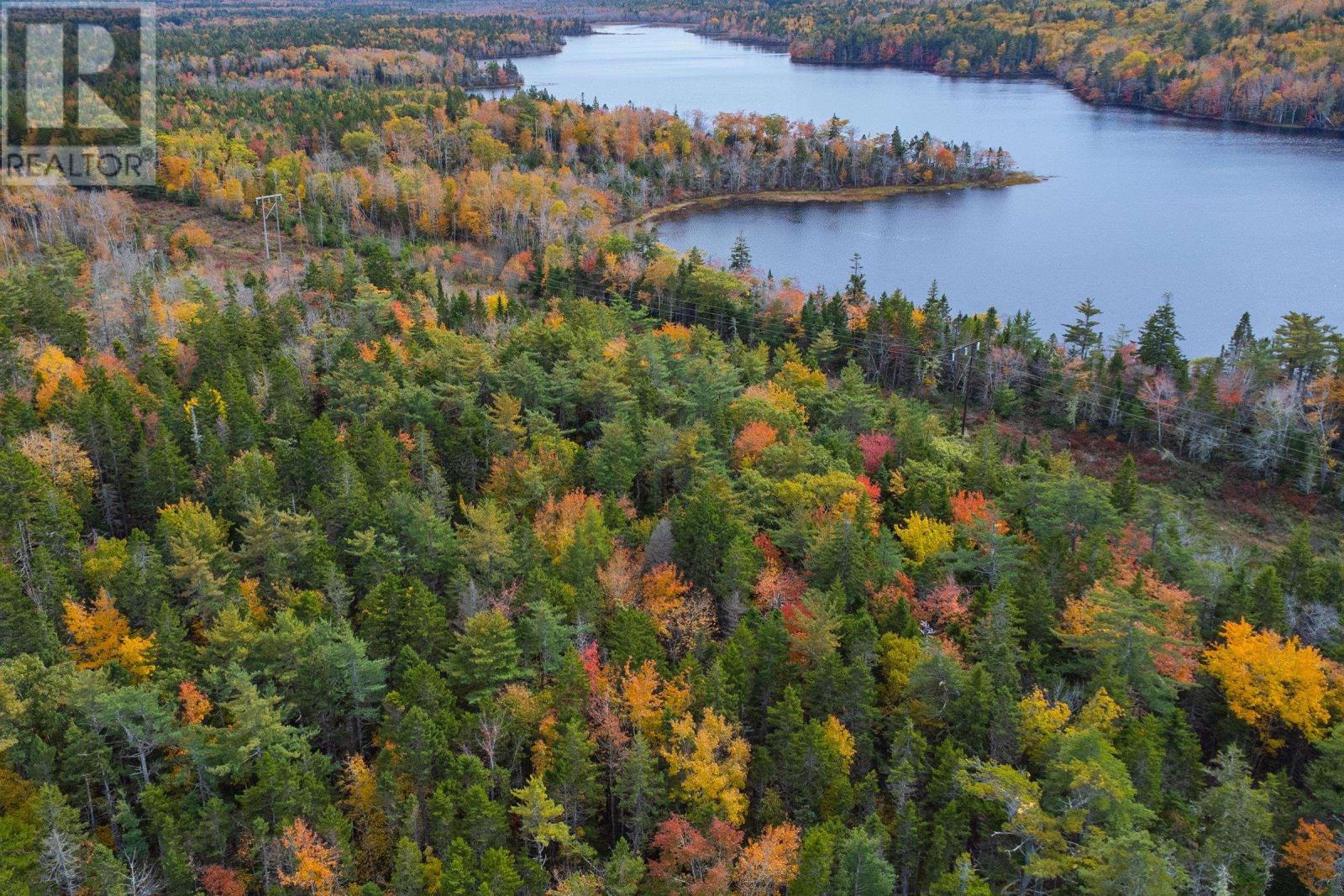 John Murray Road, Belleville South, Nova Scotia  B0W 3M0 - Photo 4 - 202425210