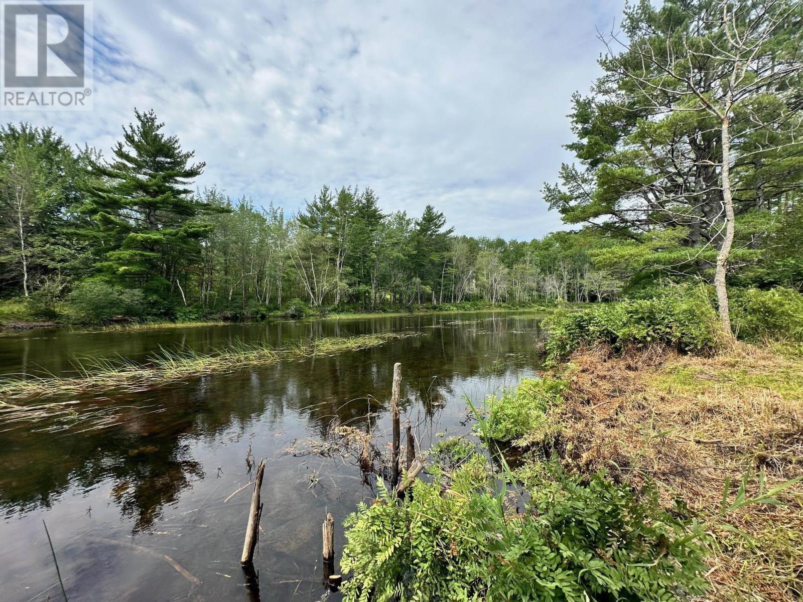 24 Buchanan Avenue, Enfield, Nova Scotia  B2T 1C8 - Photo 3 - 202418981