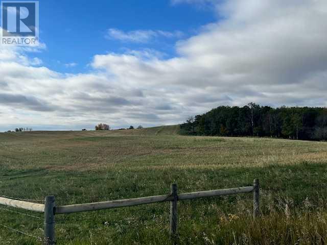 On Township Road 454, Rural Flagstaff County, Alberta  T0B 4C0 - Photo 1 - A2174844