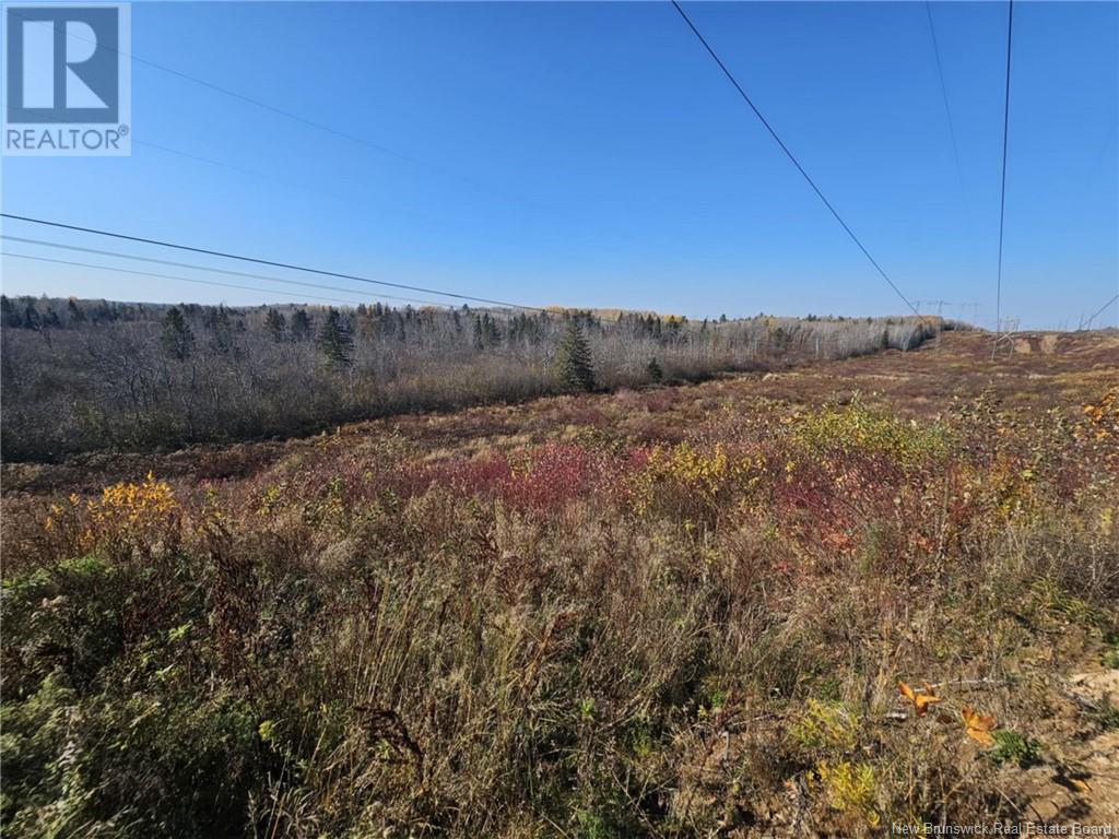 33.8 Acres Riverside Drive, Bathurst, New Brunswick  E2A 6L4 - Photo 4 - NB108281