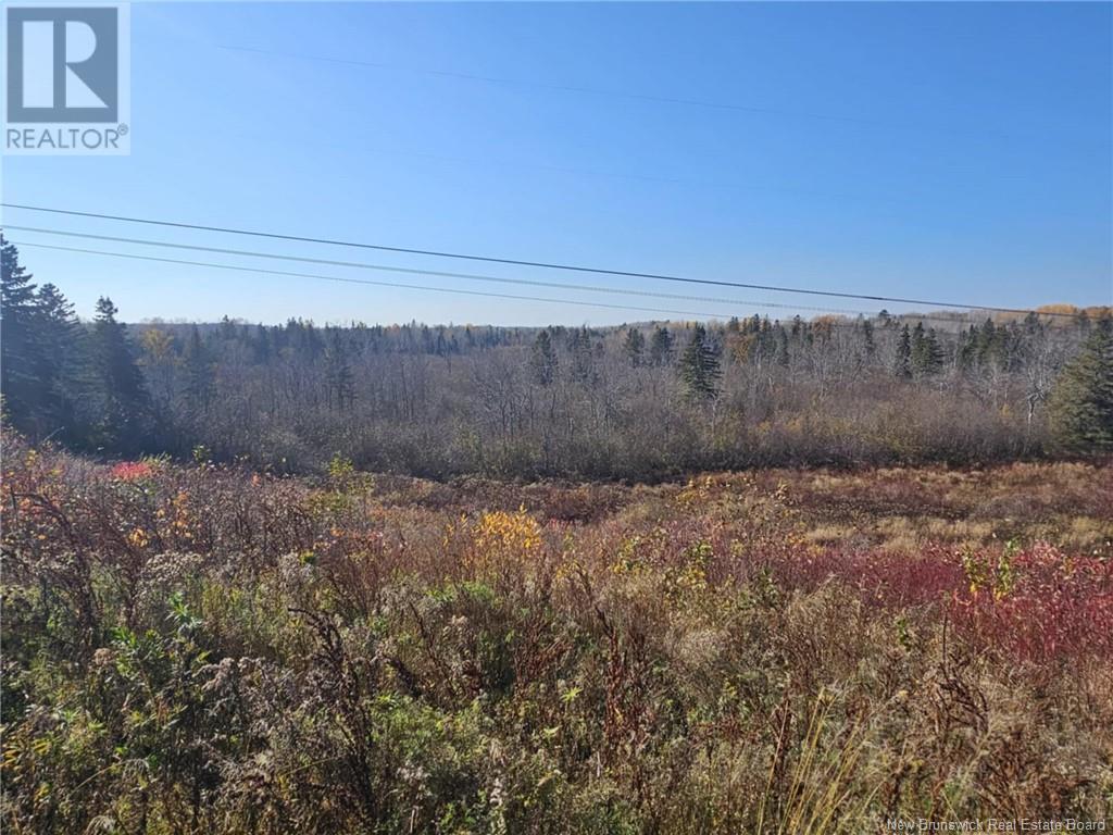 33.8 Acres Riverside Drive, Bathurst, New Brunswick  E2A 6L4 - Photo 1 - NB108281