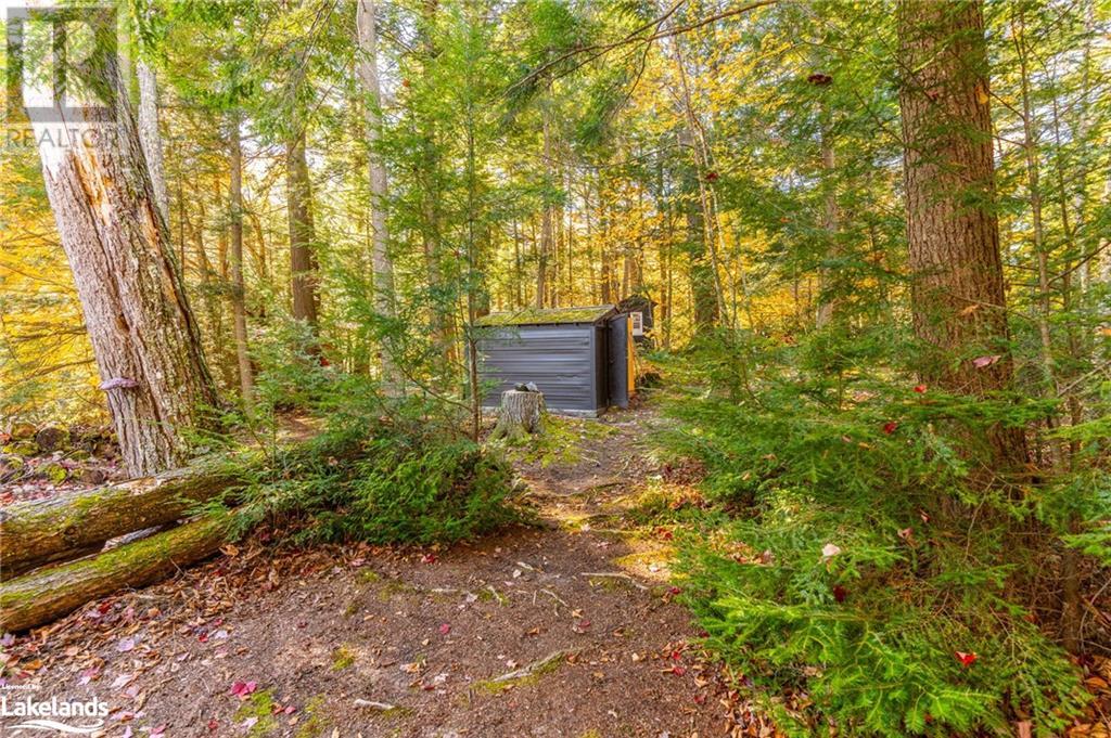 1017 Palace Drive, Haliburton, Ontario  K0M 1S0 - Photo 28 - 40657683