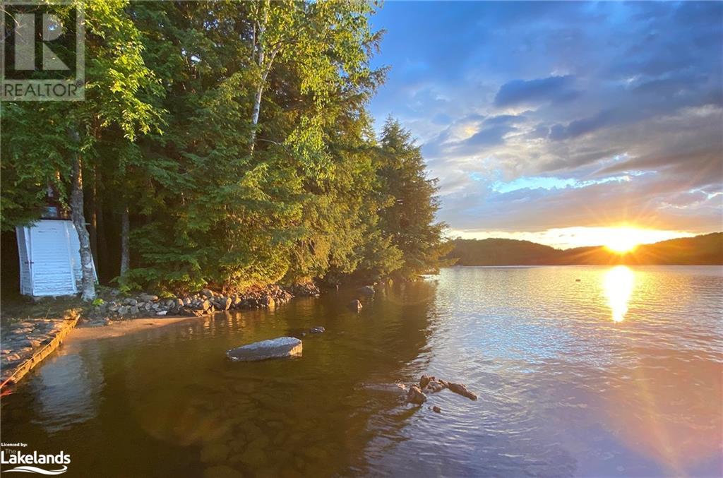 1017 Palace Drive, Haliburton, Ontario  K0M 1S0 - Photo 3 - 40657683