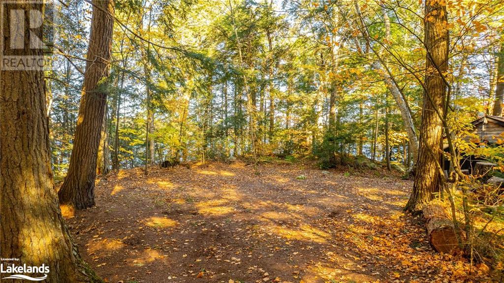 1017 Palace Drive, Haliburton, Ontario  K0M 1S0 - Photo 34 - 40657683