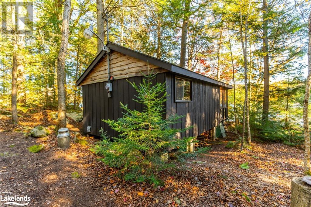 1017 Palace Drive, Haliburton, Ontario  K0M 1S0 - Photo 36 - 40657683