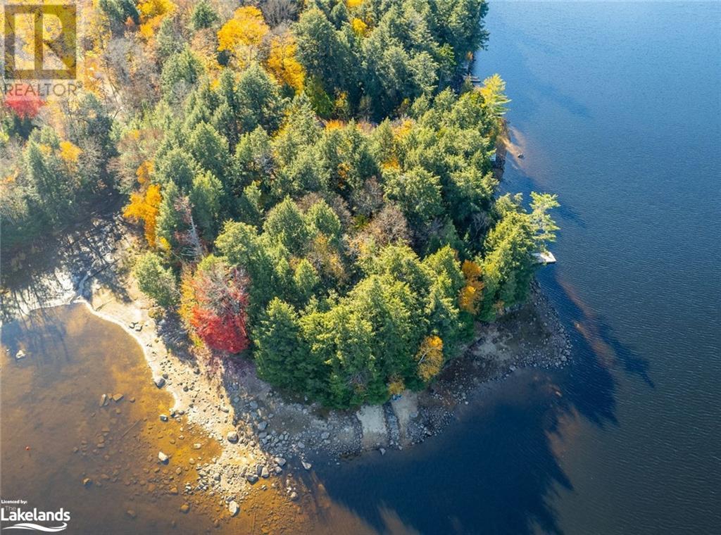 1017 Palace Drive, Haliburton, Ontario  K0M 1S0 - Photo 6 - 40657683