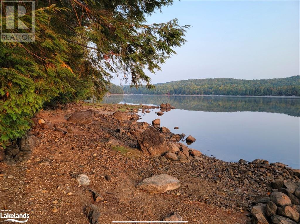 1017 Palace Drive, Haliburton, Ontario  K0M 1S0 - Photo 9 - 40657683
