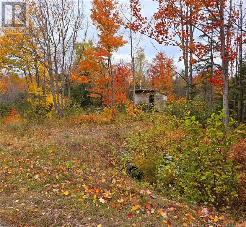 8.9hec-2 Ave Foret, Grande-Anse, New Brunswick
