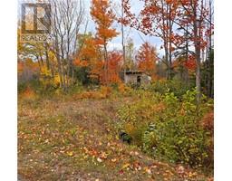 8.9hec-2 Ave Foret, Grande-Anse, New Brunswick