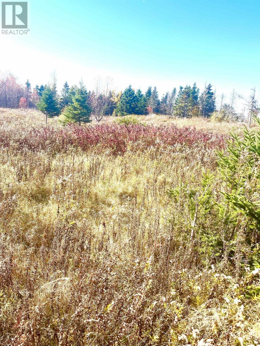 Lot 2 Selkirk Park Road, Belfast, Prince Edward Island  C0A 1A0 - Photo 1 - 202425242