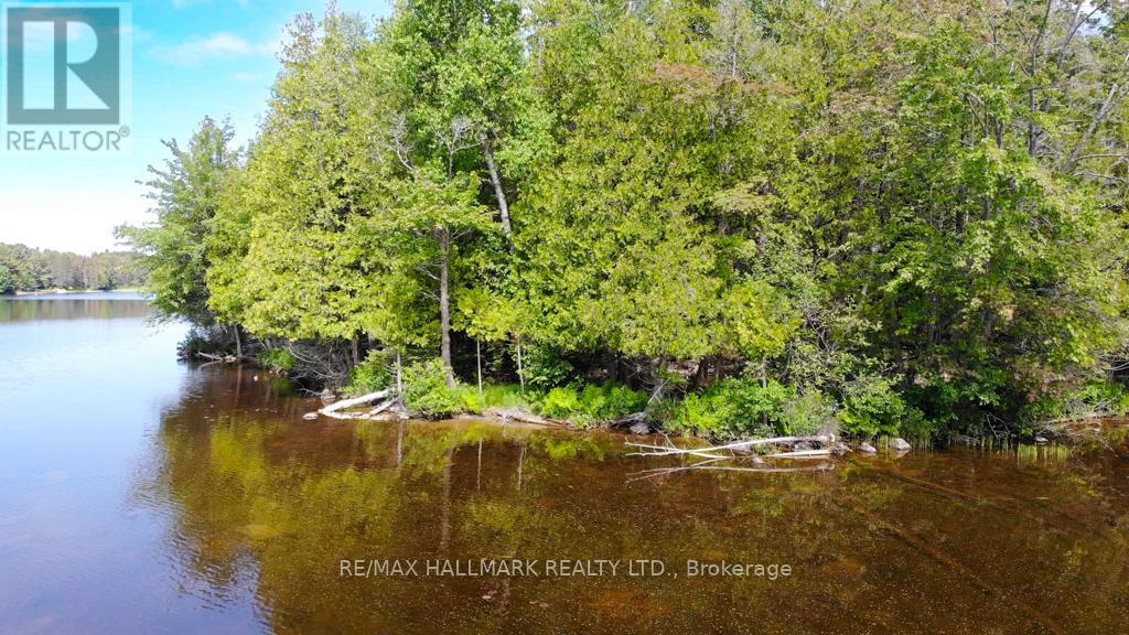 6 Kribs Road, Magnetawan, Ontario  P0A 1A0 - Photo 5 - X9507699