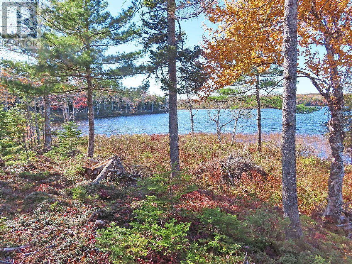 Lot 7 Theresa, Third Lake Lane, Grande Anse, Nova Scotia  B0E 1V0 - Photo 11 - 202416042