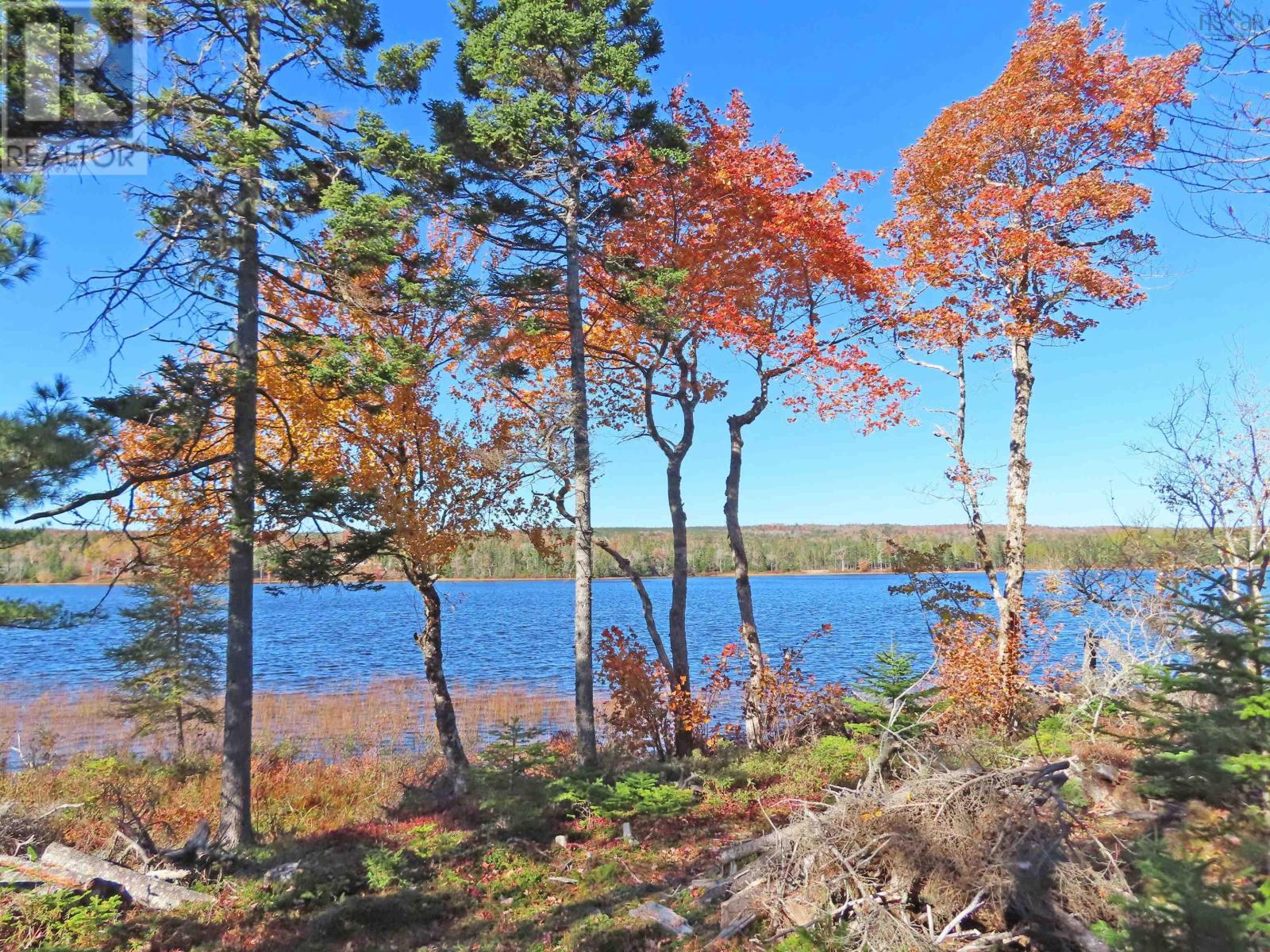 Lot 7 Theresa, Third Lake Lane, Grande Anse, Nova Scotia  B0E 1V0 - Photo 4 - 202416042