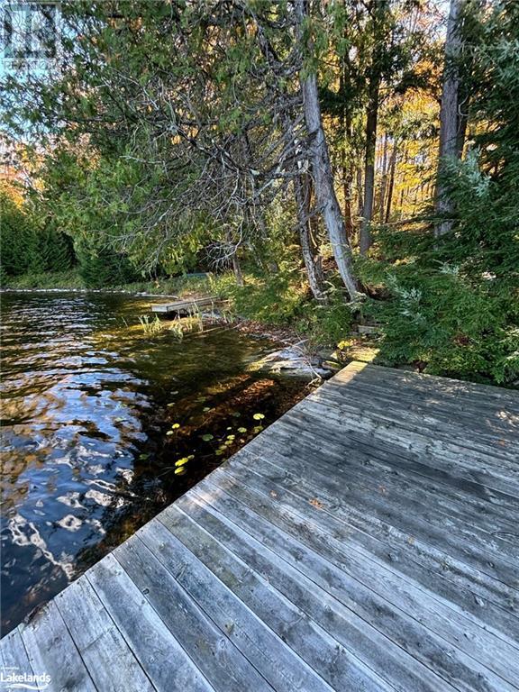 8 Cannonball Lane, Minden Hills, Ontario  K0M 2A1 - Photo 12 - 40668295