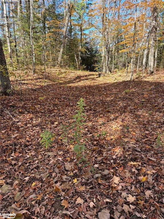 8 Cannonball Lane, Minden Hills, Ontario  K0M 2A1 - Photo 19 - 40668295