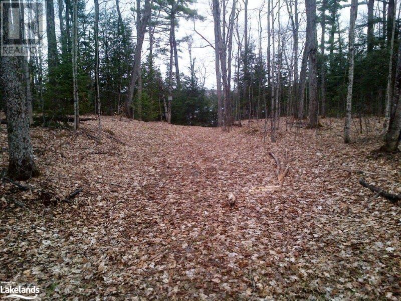 8 Cannonball Lane, Minden Hills, Ontario  K0M 2A1 - Photo 27 - 40668295
