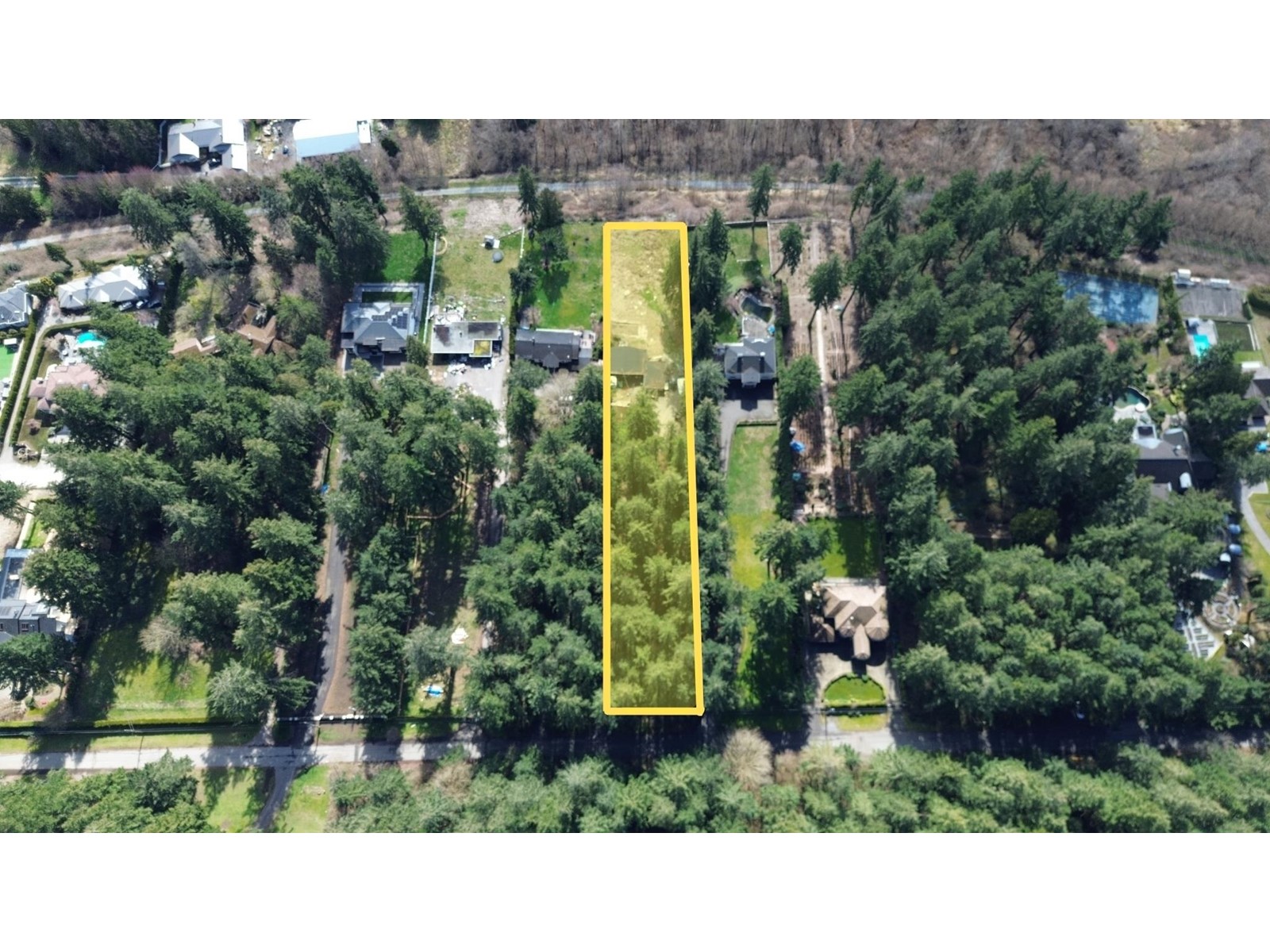 12422 53 Avenue Avenue, Surrey, British Columbia  V3X 3B7 - Photo 3 - R2937166