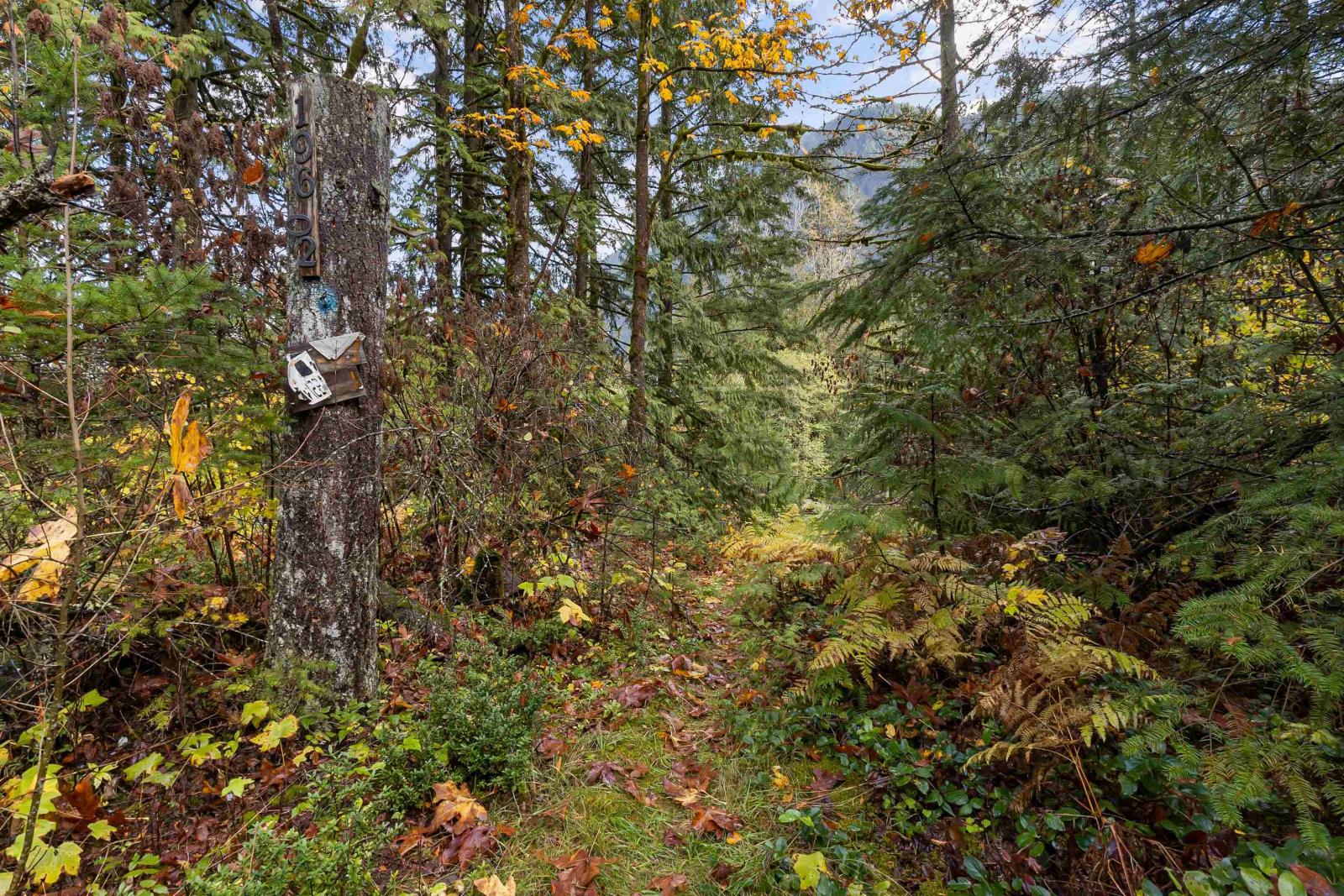 19602 Silver Skagit Road, Hope, Hope, British Columbia  V0X 1L2 - Photo 3 - R2938326