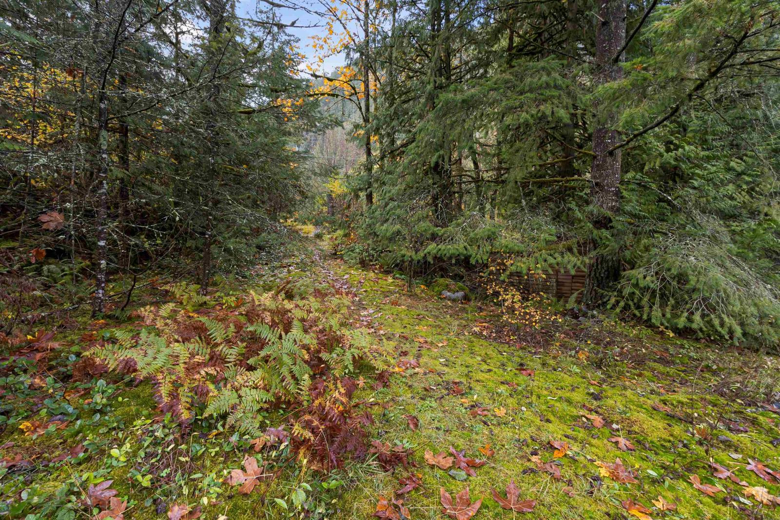 19602 Silver Skagit Road, Hope, Hope, British Columbia  V0X 1L2 - Photo 4 - R2938326