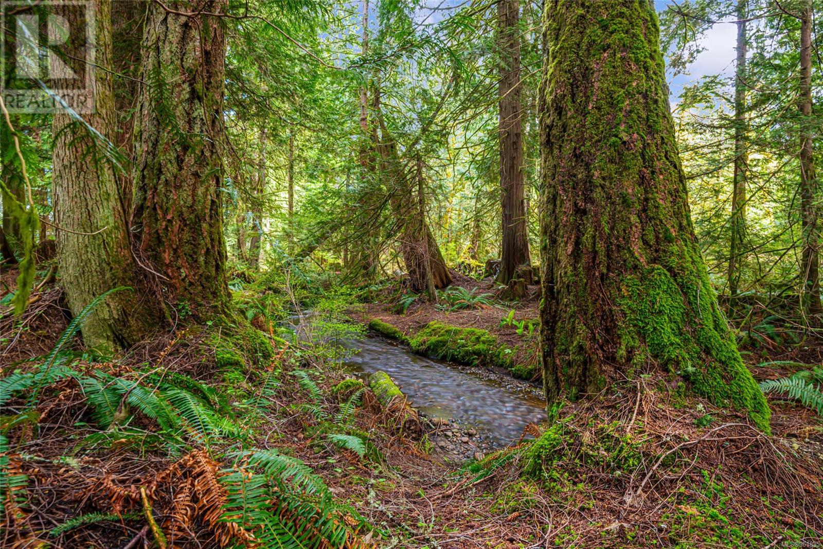 Lot 13 Island Hwy W, Bowser, British Columbia V0R 1G0 - Photo 4 - 961835