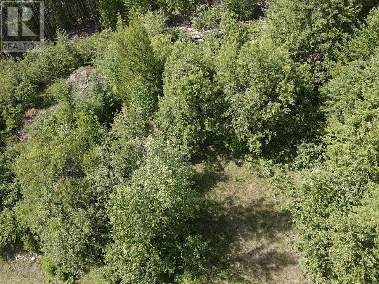 Lot B HIGHWAY 23 Nakusp