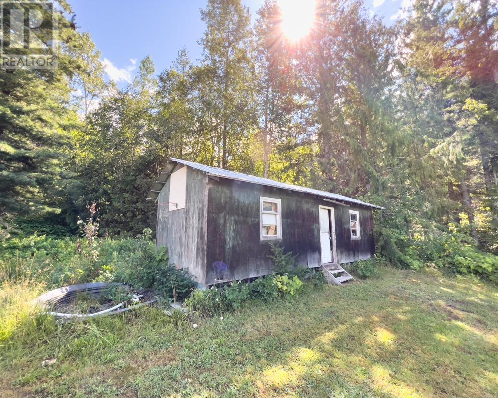 589 SAGACIOUS ROAD Nakusp