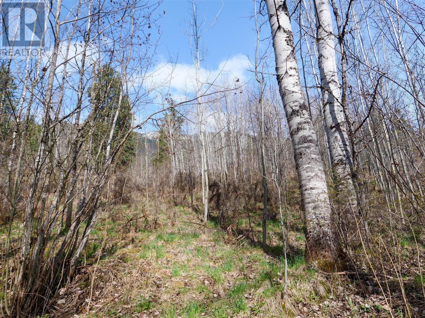 Lot 7 Annable Road, Nelson, British Columbia  V1L 6K5 - Photo 23 - 2476157