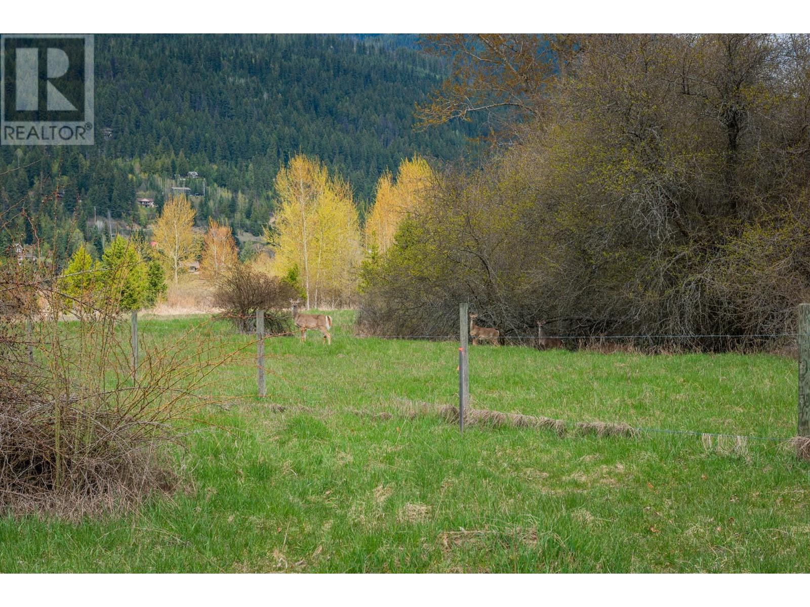 Lot 12 Erindale Road, Harrop, British Columbia  V1L 6P8 - Photo 42 - 2476352