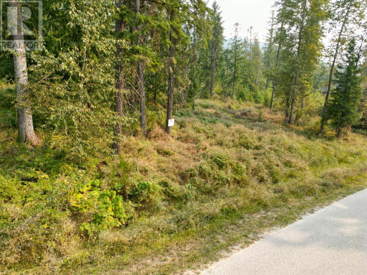 Lot 13 Selkirk Road, Crawford Bay, British Columbia  V0B 1E0 - Photo 12 - 2476487