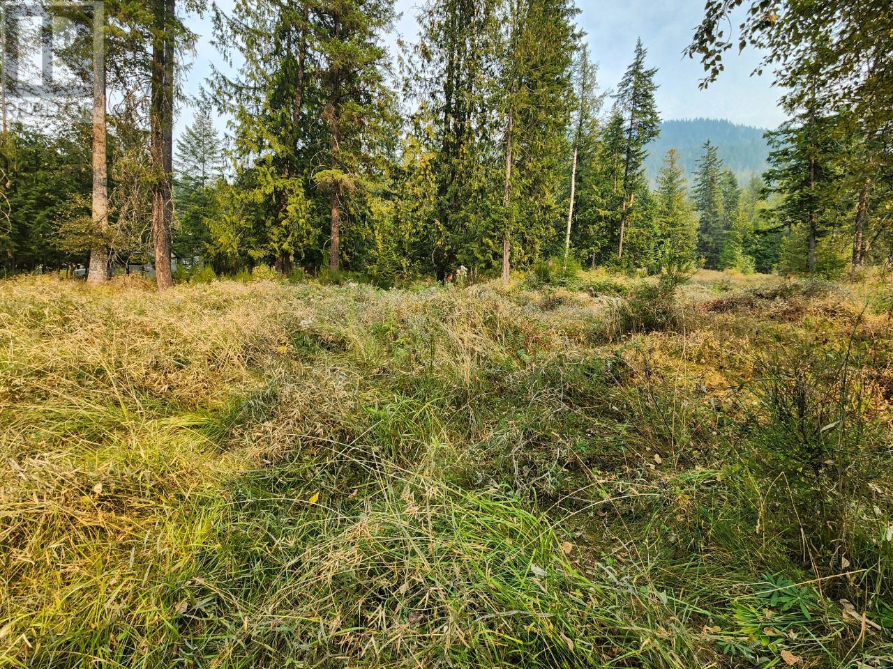 Lot 13 Selkirk Road, Crawford Bay, British Columbia  V0B 1E0 - Photo 4 - 2476487