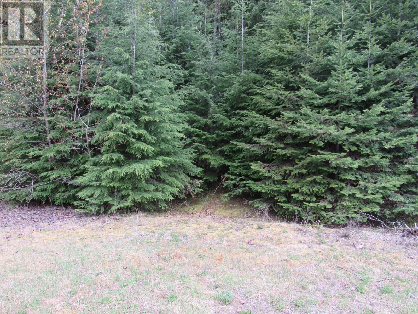 Lot B Highway 3, Salmo, British Columbia  V0G 1Z0 - Photo 2 - 2476526