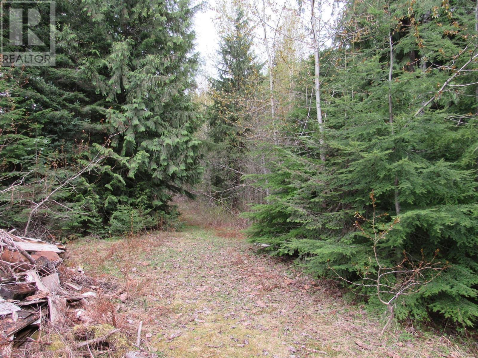 Lot B Highway 3, Salmo, British Columbia  V0G 1Z0 - Photo 5 - 2476526