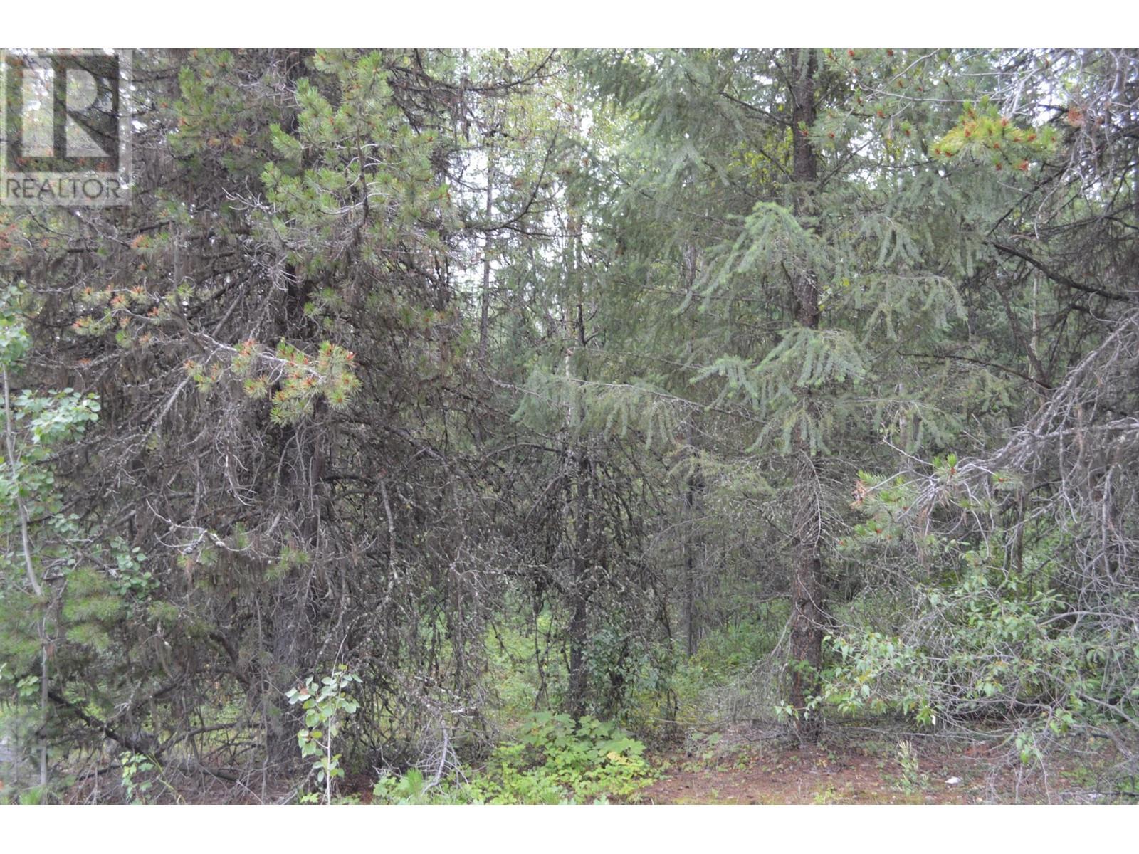 Lot 3 Highway 3, Grand Forks, British Columbia  V0H 1H5 - Photo 12 - 2478808