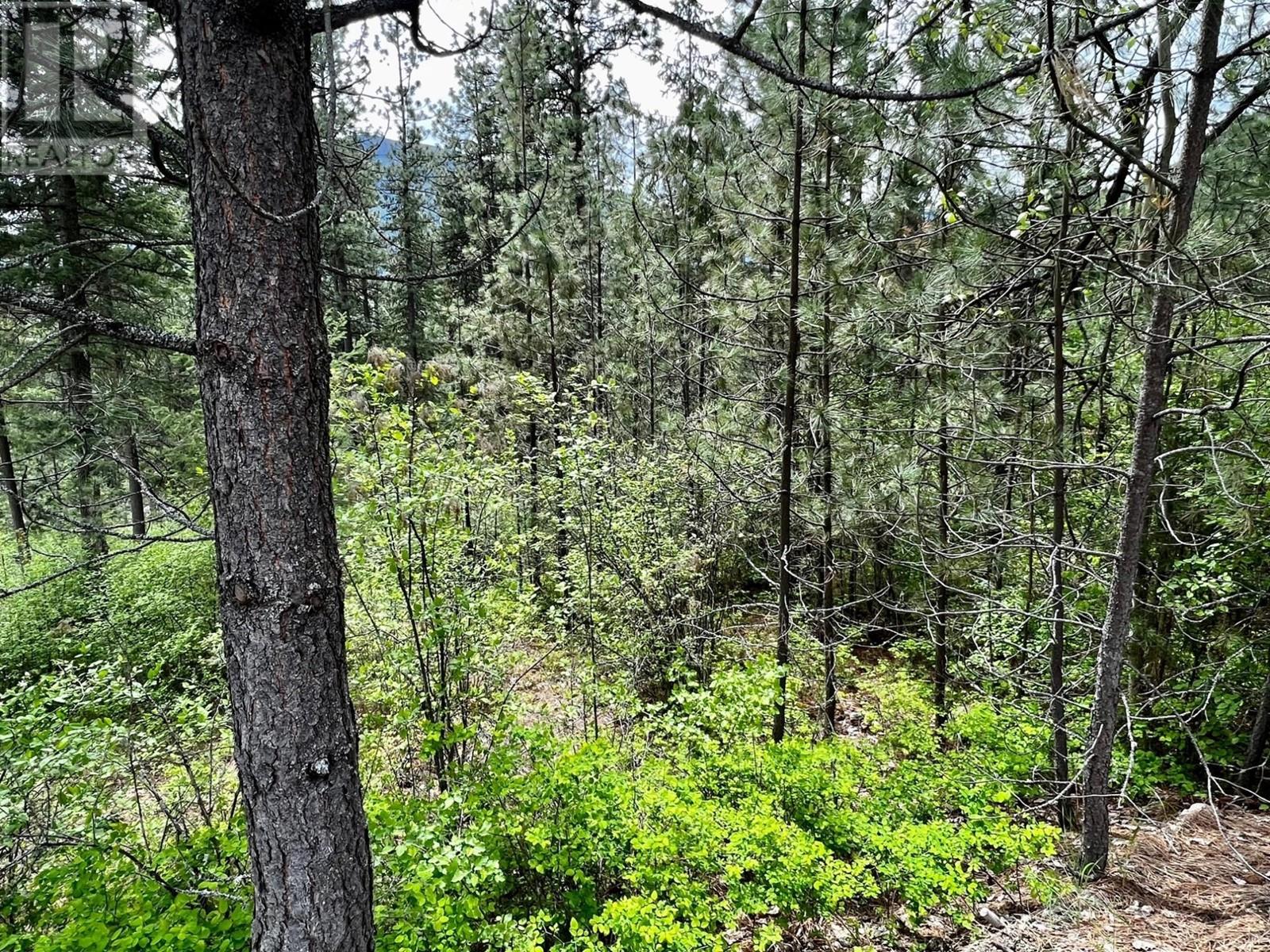 Lot 11 Evans Rd, Creston, British Columbia  V0B 1G7 - Photo 6 - 2480120