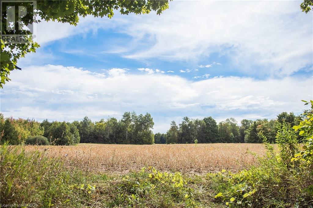 Pt Lot 11-12 Side Road 10, Chatsworth (Twp), Ontario  N0H 1R0 - Photo 10 - 40663785
