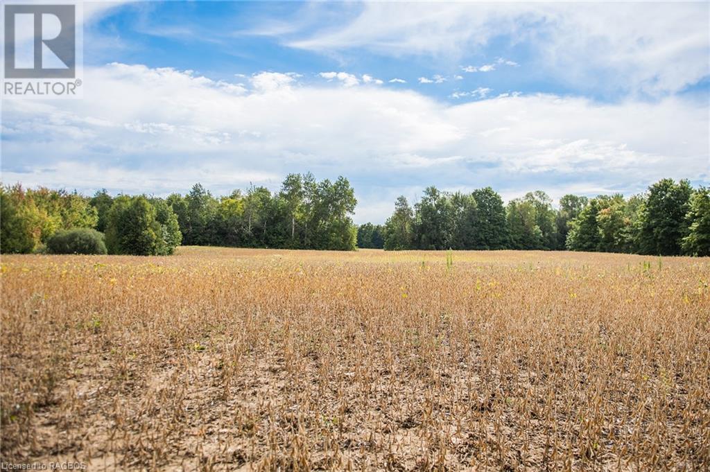 Pt Lot 11-12 Side Road 10, Chatsworth (Twp), Ontario  N0H 1R0 - Photo 9 - 40663785