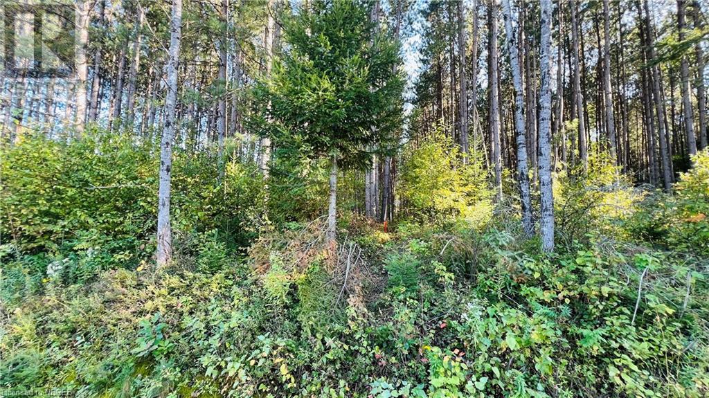 Lot 28 Part 3 Chiswick Line, Chisholm, Ontario  P0H 1Z0 - Photo 5 - 40667797