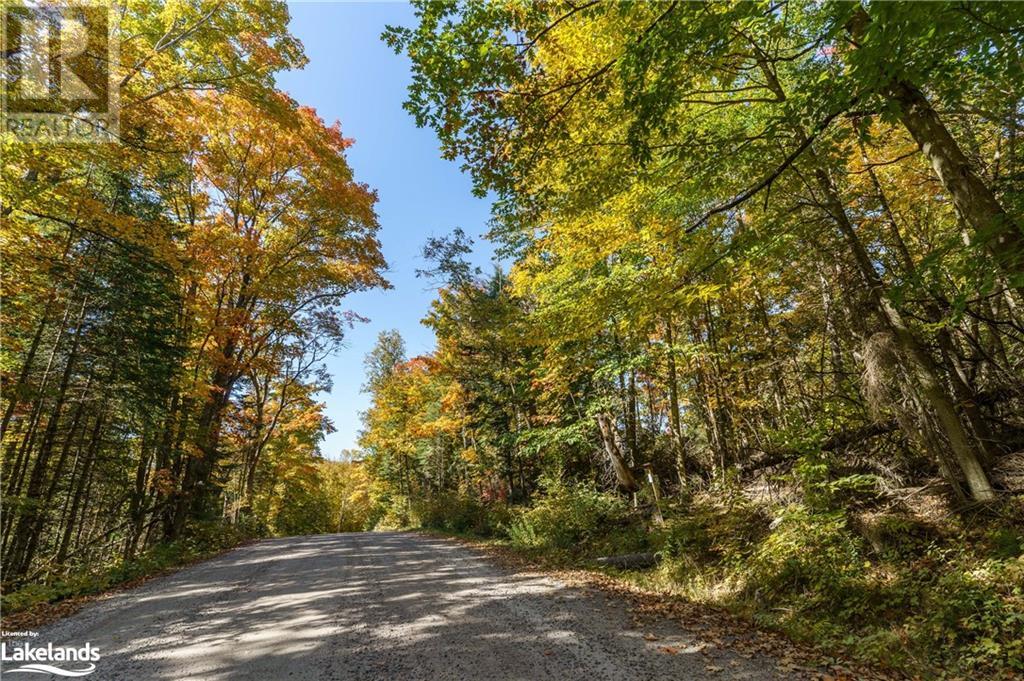 Lot 1 Dwight Beach Road, Dwight, Ontario  P0A 1H0 - Photo 1 - 40659280