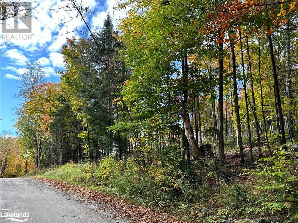 Lot 1 Dwight Beach Road, Dwight, Ontario  P0A 1H0 - Photo 10 - 40659280
