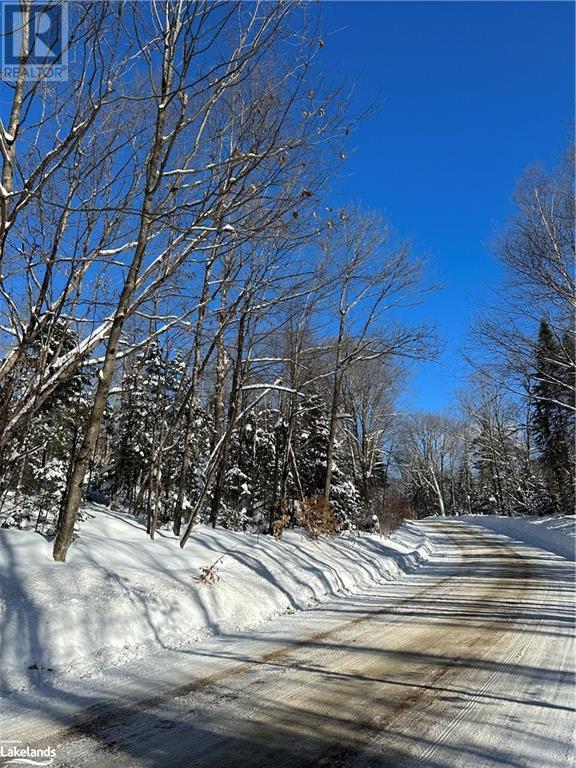 Lot 1 Dwight Beach Road, Dwight, Ontario  P0A 1H0 - Photo 11 - 40659280