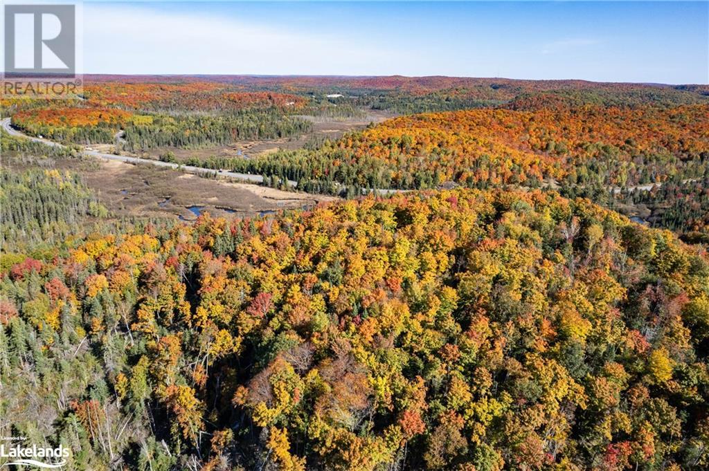 Lot 1 Dwight Beach Road, Dwight, Ontario  P0A 1H0 - Photo 12 - 40659280
