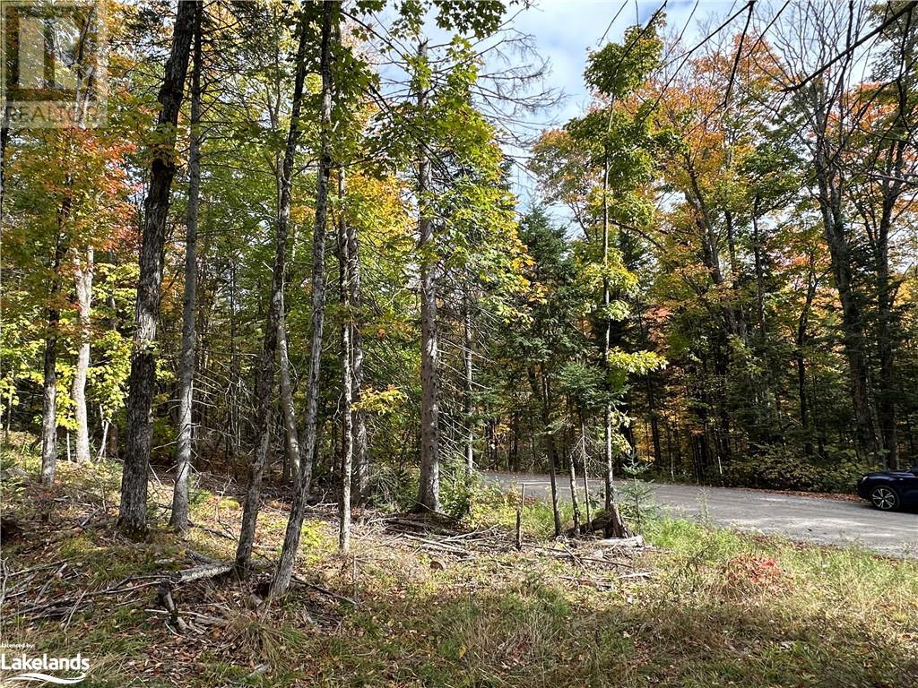 Lot 1 Dwight Beach Road, Dwight, Ontario  P0A 1H0 - Photo 15 - 40659280