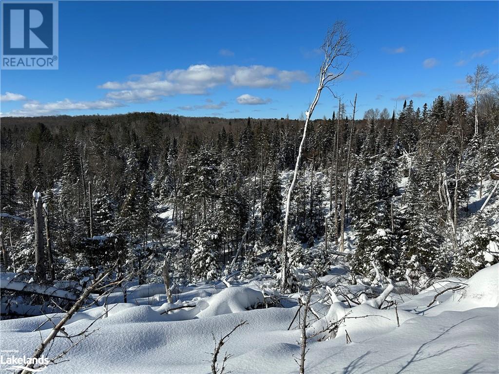 Lot 1 Dwight Beach Road, Dwight, Ontario  P0A 1H0 - Photo 17 - 40659280