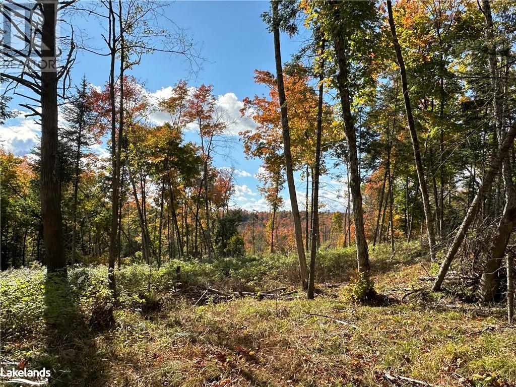 Lot 1 Dwight Beach Road, Dwight, Ontario  P0A 1H0 - Photo 2 - 40659280