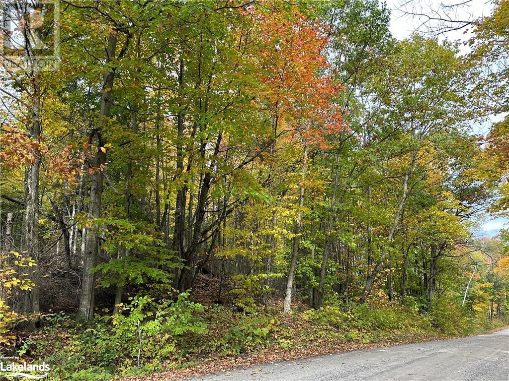 Lot 1 Dwight Beach Road, Dwight, Ontario  P0A 1H0 - Photo 20 - 40659280