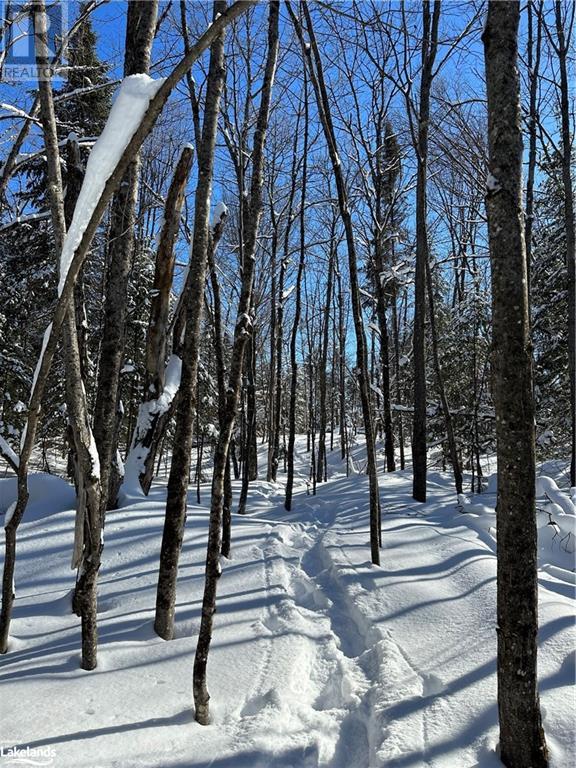 Lot 1 Dwight Beach Road, Dwight, Ontario  P0A 1H0 - Photo 21 - 40659280