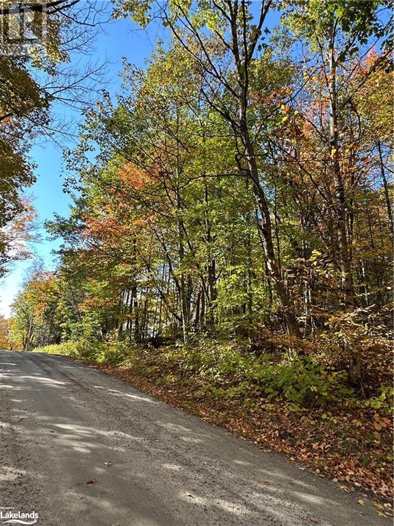 Lot 1 Dwight Beach Road, Dwight, Ontario  P0A 1H0 - Photo 23 - 40659280